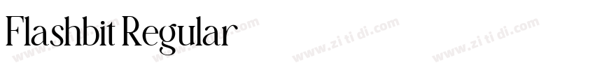 Flashbit Regular字体转换 Flashbit Regular字体转换